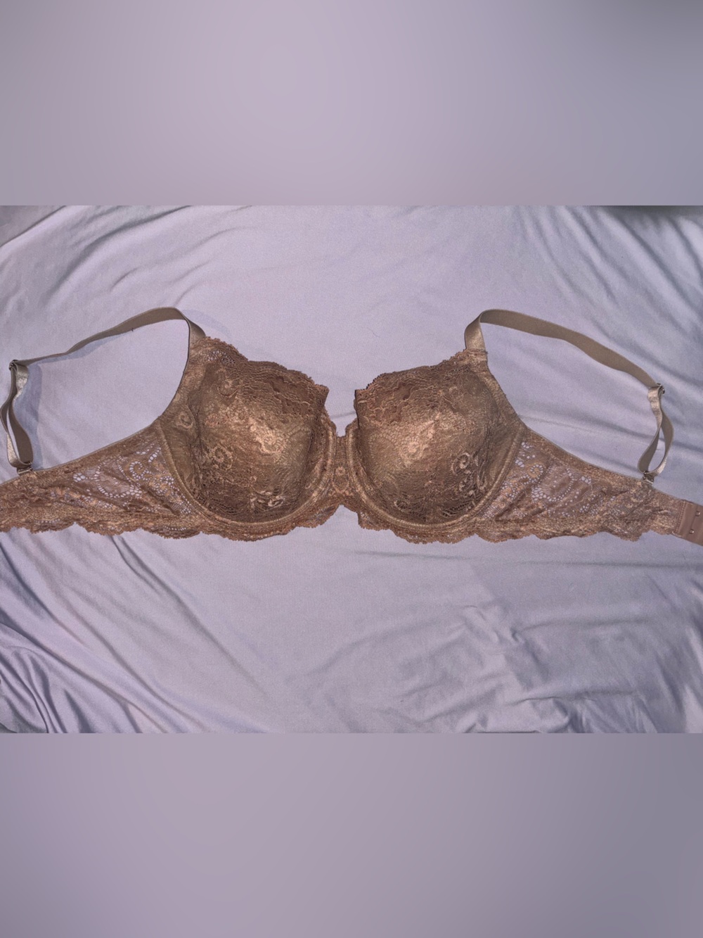 ThirdLove Lace Underwire Bra in Taupe Brown